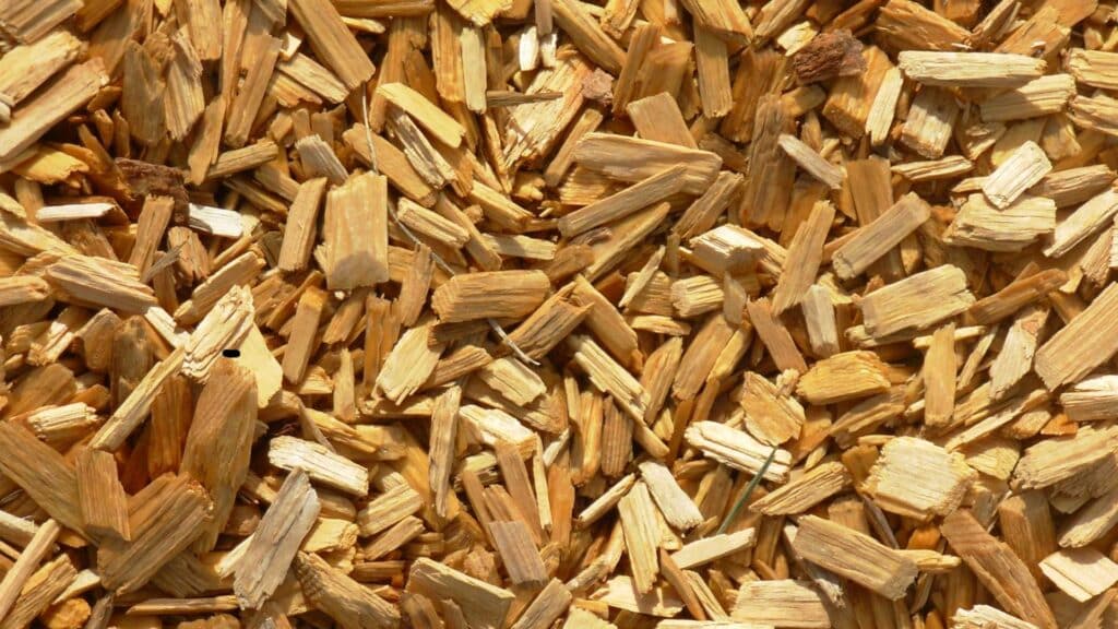 commercial biomass boiler systems, wood chip boilers, wood pellet boilers, renewable energy, carbon neutral energy, renewable fuels, biomass fuels, Caluwe, Inc, Burlington, MA