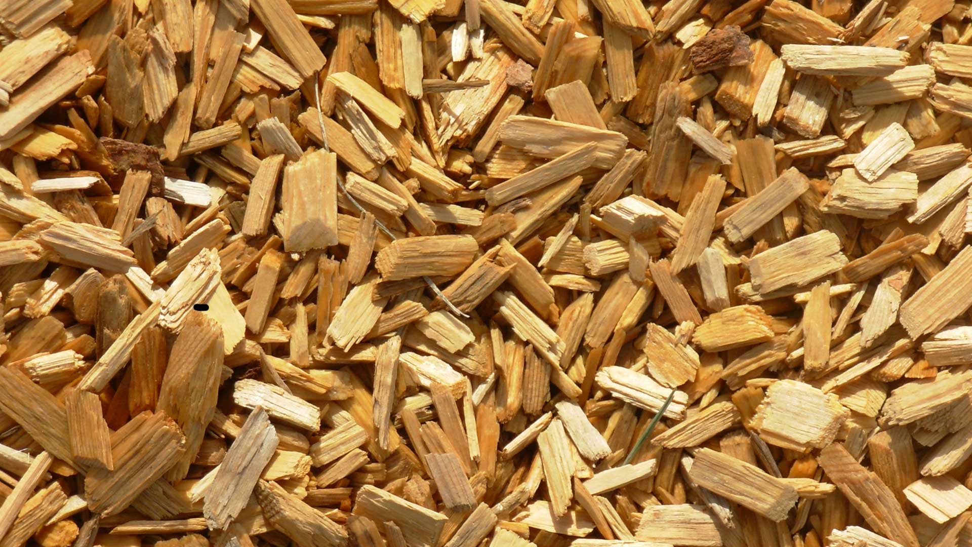 Wood pellets for environmentally friendly and clean biofuel